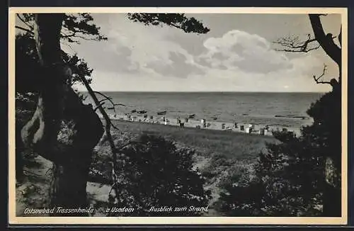 AK Trassenheide a. Usedom, Ausblick zum Strand
