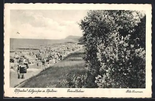 AK Kölpinsee a. Usedom, Blick auf den Strand und das Meer