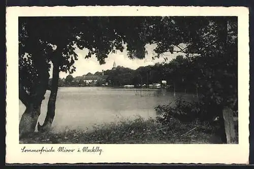 AK Mirow i. Mecklbg., Wasserpartie mit Blick auf den Ort