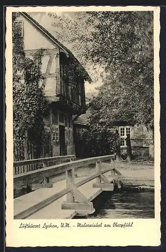 AK Lychen / U. M., Malerwinkel am Oberpfuhl