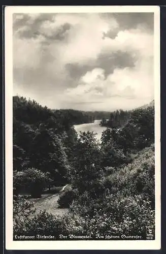 AK Tiefensee / Oberbarnim, Tal mit Gamensee