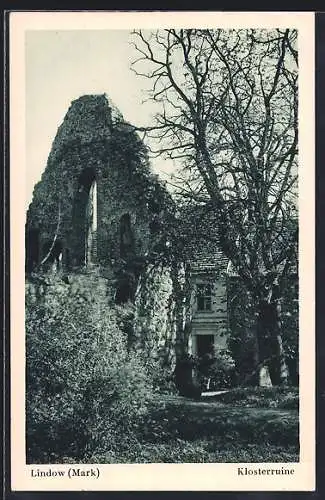 AK Lindow /Mark, Überwuchterte Klosterruine