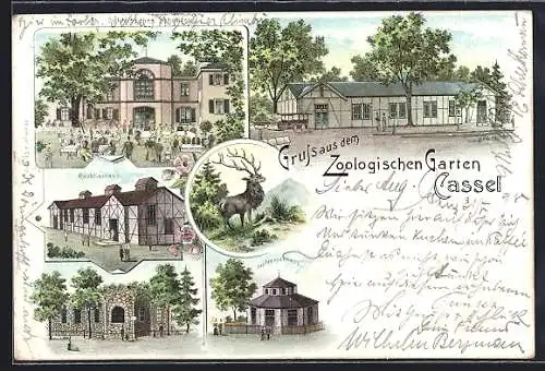Lithographie Kassel, Zoologischer Garten, Raubtierhaus, Restaurant Schlösschen Schönfeld