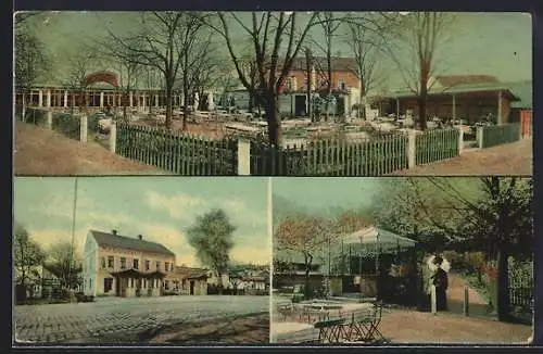 AK Dresden-Bühlau, Gasthaus Trompeter mit Garten