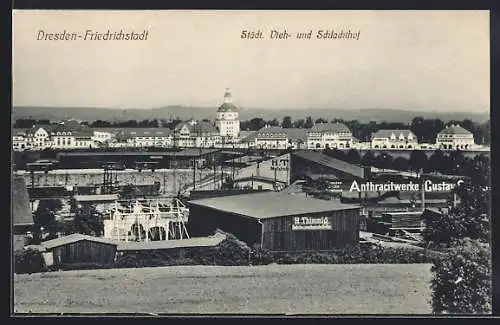 AK Dresden, Städtischer Vieh- und Schlachthof, Ostra-Gehege