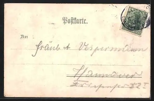 Lithographie Wunstorf, Hotel zum Ritter, Bes. F. Starwing, Grosser Saal, Colonnade