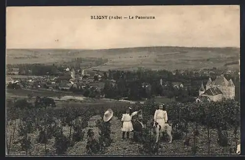 AK Bligny, Le Panorama