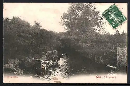 AK Briel, À l`abreuvoir