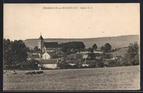 AK Champignol-lez-Mondeville, Aspect nord du village et campagne environnante