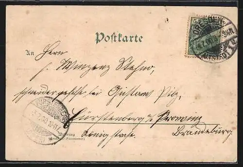 Lithographie Plauen b. Dresden, Gasthaus Ratskeller, Innenansicht, Garten