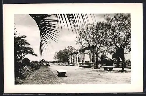 Foto-AK San Salvador, Parkansicht mit Sitzbank