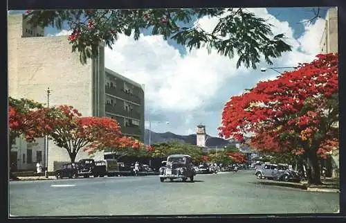AK Umtali /S. Rhodesia, Flamboyant Trees in Main Street