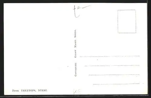AK Nyeri, Treetops