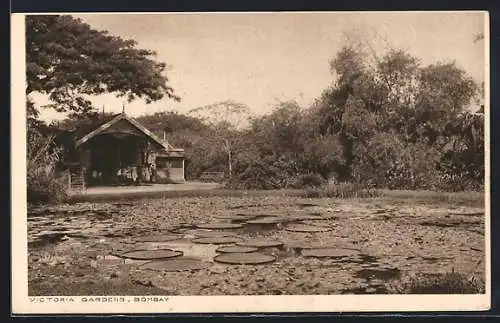 AK Bombay, Victoria Gardens