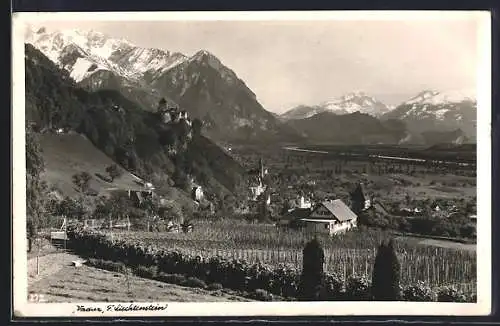 AK Vaduz, Ortsansicht mit Bergpanorama