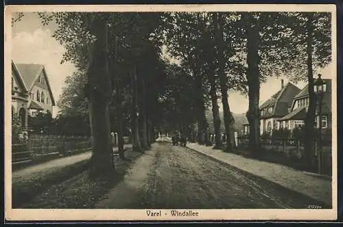 AK Varel / Oldenburg, Strassenblick in die Windallee