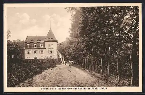 AK Briese, Partie am Restaurant Waldschloss bei Birkenwerder