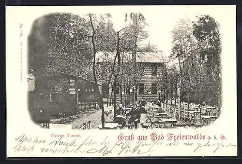 AK Bad Freienwalde a. d. O., Gasthaus Grüne Tanne