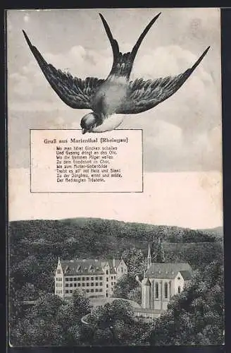 AK Marienthal /Rheingau, Klosteransicht mit Schwalbe