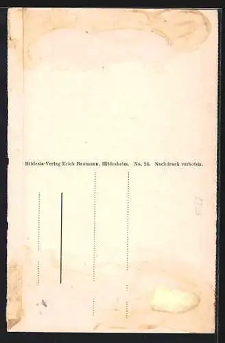 AK Braunschweig, Fäsebeck`sches Haus in der Reichstrasse