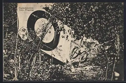 AK Abgeschossenes französisches Flugzeug