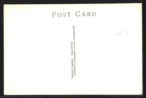 AK The Irish Mail Express, englische Eisenbahn