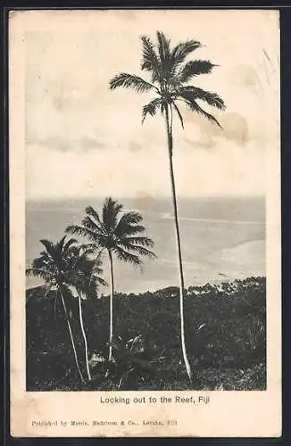 AK Fiji, Looking out to the Reef