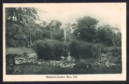 AK Suva /Fiji, Botanical Gardens, Scene by the Pond