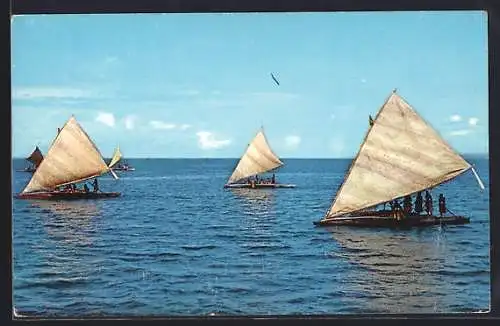 AK Fiji, Takias on the Water