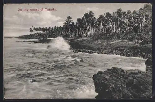 AK Tutuila, Coastal View with Palm Trees