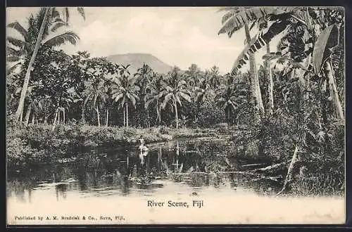 AK Fiji, River Scene with Palm Trees Along the River Banks