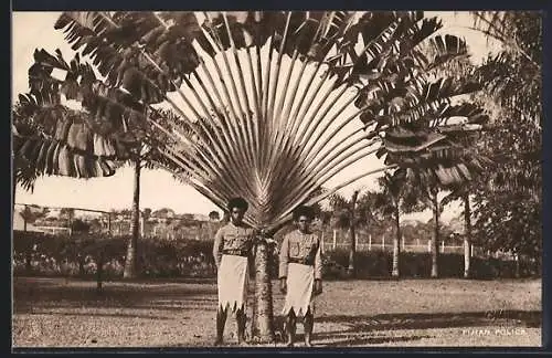 AK Fiji, Two Natives Posing with a Palm Tree