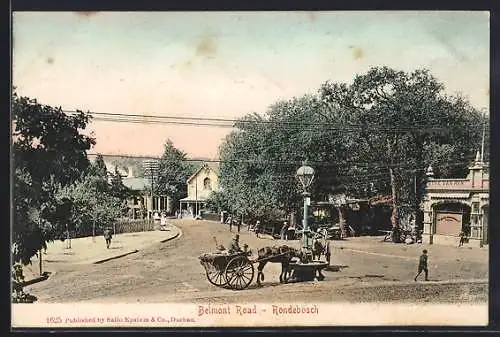 AK Rondebosch, Belmont Road, Horse Carriage with a Drinking Horse