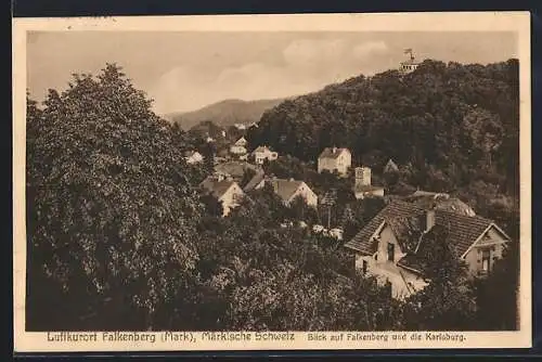 AK Falkenberg /Mark, Ortsansicht mit Karlsburg aus der Vogelschau