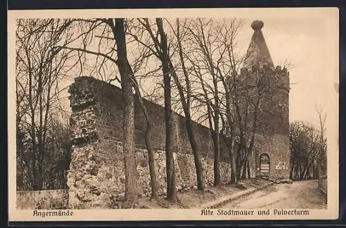 AK Angermünde, Alte Stadtmauer und Pulverturm