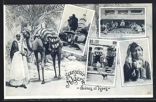 AK Alger, Scenes et Types, Bédouin et chameau, Algerienne