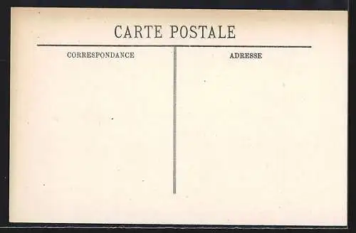 AK Alger, Scenes et Types, Bédouin et chameau, Algerienne