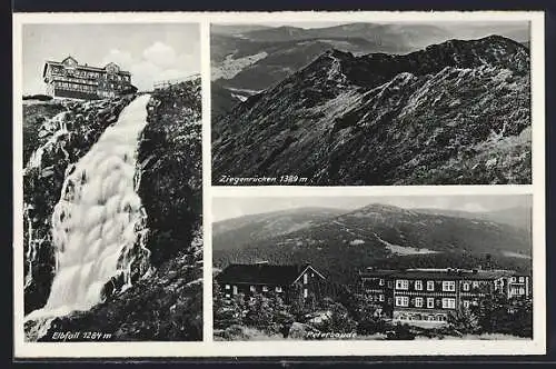 AK Peterbaude, Elbfall, Ziegenrücken
