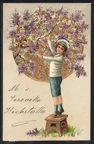 Lithographie Knabe im Matrosenanzug pflückt Blüten von einem Baum, goldene Sonne