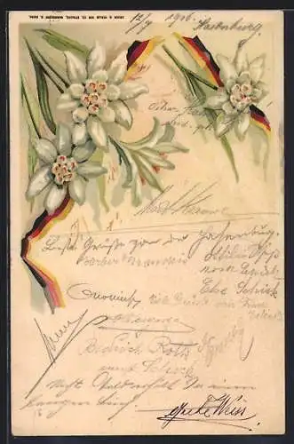 Lithographie Edelweiss und schwarzrotgoldene Banderole
