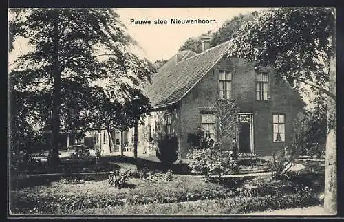 AK Nieuwenhoorn, Pauwe stee Nieuwenhoorn