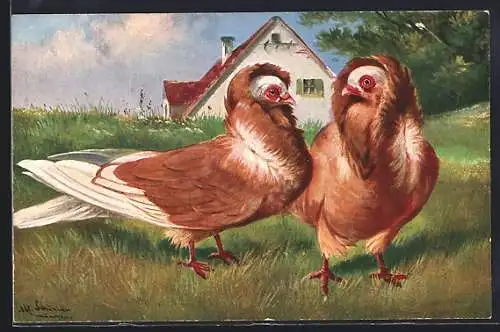 Künstler-AK Alfred Schönian: Zwei Tauben auf der Wiese vor einem Haus