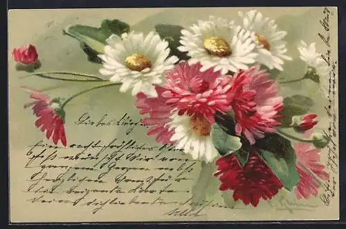Künstler-AK Catharina Klein: Strauss Gerbera in verschiedenen Farben