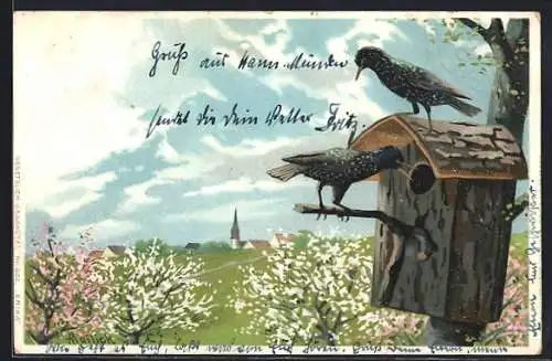 Künstler-AK Alfred Mailick: Stare auf einem Starenkasten vor blühender Frühlingslandschaft