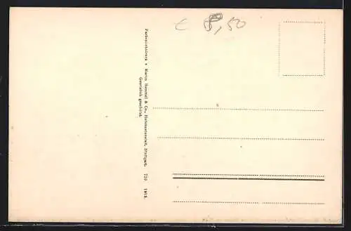 AK Zwei Kartoffelboviste im Moos