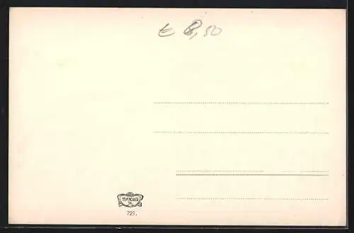 AK Drei Steinpilze im Moos