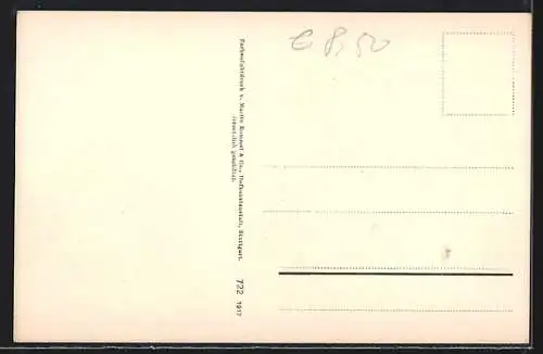 AK Pilz, essbare Champignons