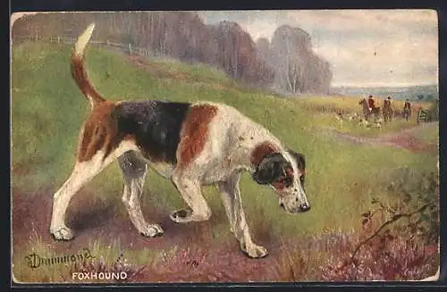 Künstler-AK Jagdhund nimmt Witterung auf, Foxhound