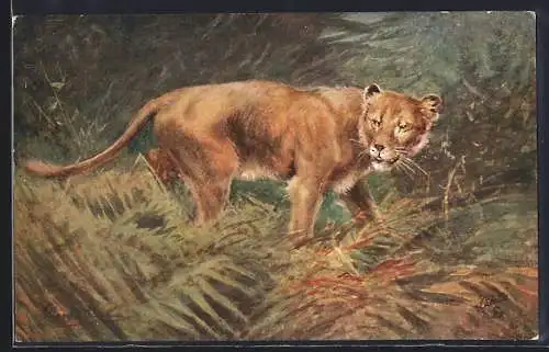 Künstler-AK Löwin im Wald