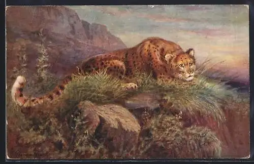 Künstler-AK Leopard auf der Lauer in freier Wildbahn